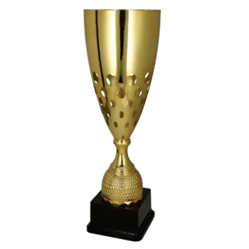 pokal 2093 2