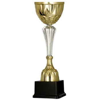 pokal 3153 2