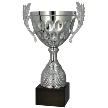 pokal 4234 2