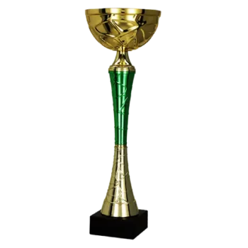 pokal 9254 2