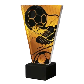 Glastrophaeen VL 1 SOC3 1 1