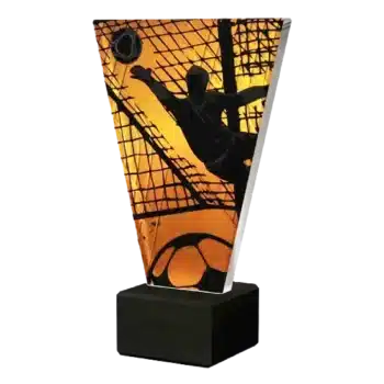 Glastrophaeen VL 1 SOC4 1 2