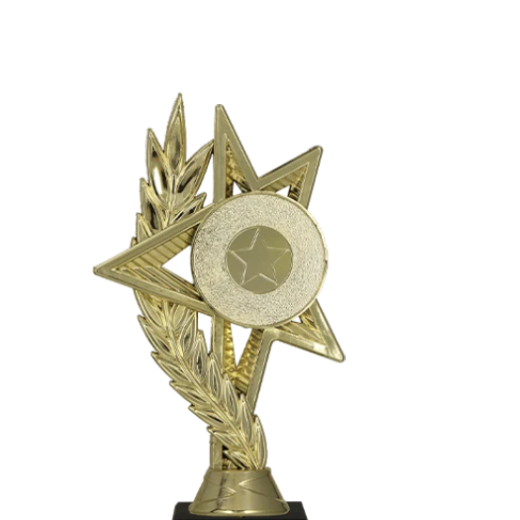 Plastová soška Hvězda Uznání S7B602/G Plastová soška Hvězda Uznání S7B602/G - Obrázek 2