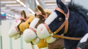 Hobby horse zavody — vasen soutezeni a nezapomenutelne emoce