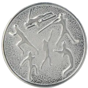 A29 S